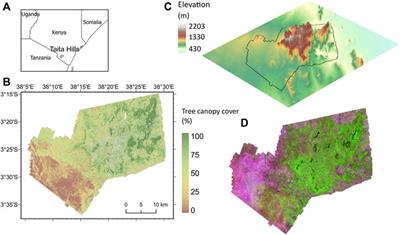 Impact of Preprocessing on Tree Canopy Cover Modelling: Does Gap-Filling of Landsat Time Series Improve Modelling Accuracy?